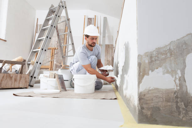 Best Mold Documentation for Insurance Claims  in Zebulon, NC