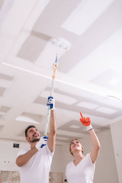 Best Mold Remediation for Healthcare Facilities  in Zebulon, NC