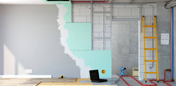  Zebulon, NC Mold Removal Pros