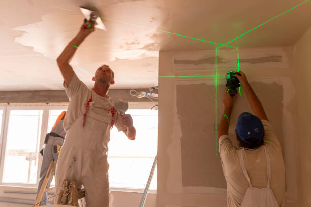 Trusted Zebulon, NC Mold Removal Experts