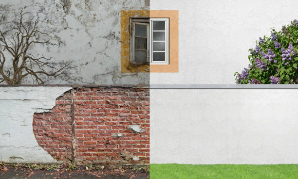 Best Black Mold Removal  in Zebulon, NC