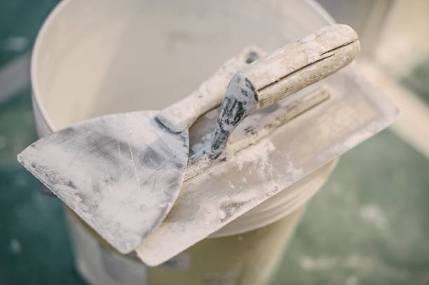 Best Attic Mold Removal  in Zebulon, NC